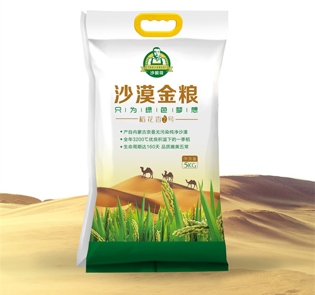 李绍华沙漠水稻图片