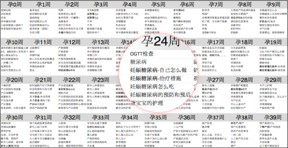 40周课程表
