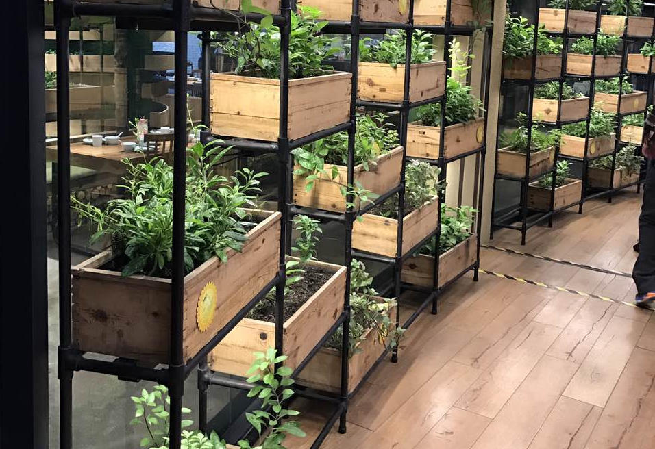 “EATTA”店内栽种的蔬菜