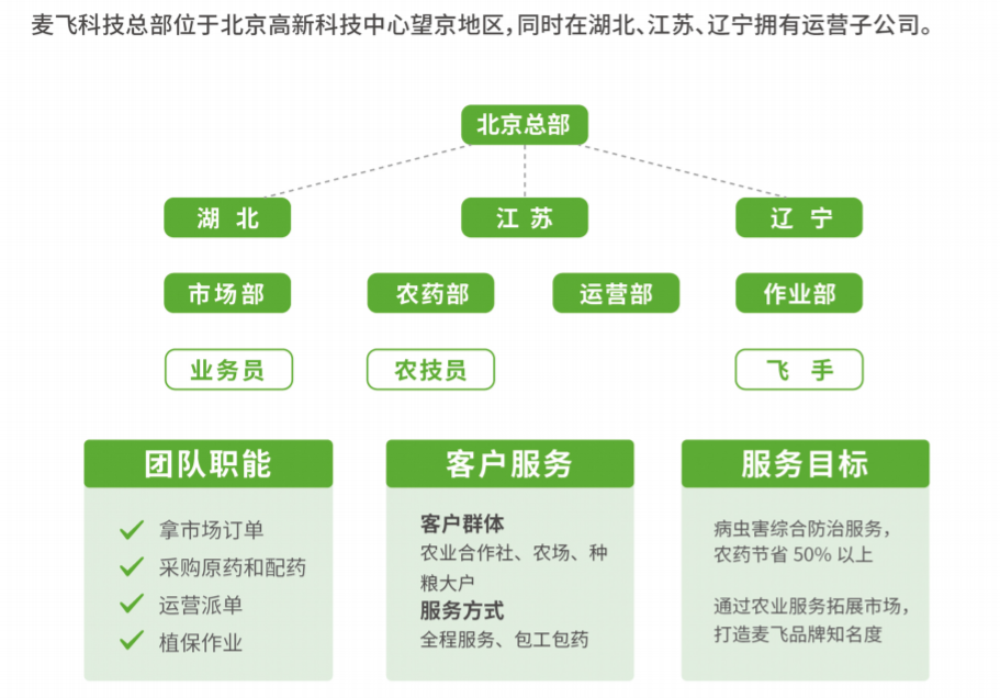 “麦飞”的组织架构图。