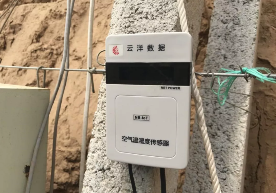 “云洋数据”温湿传感器。