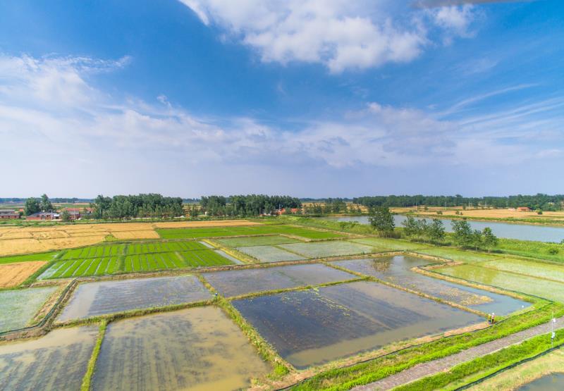小河农场经常美得像是桃花源。