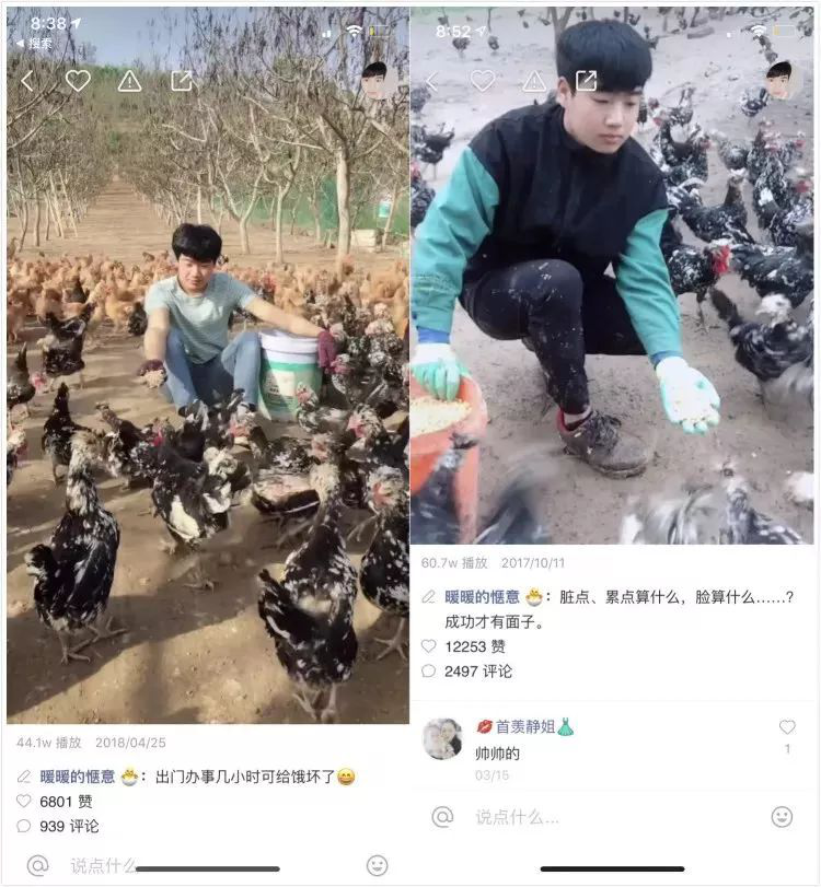 通过快手卖鸡的尚育康