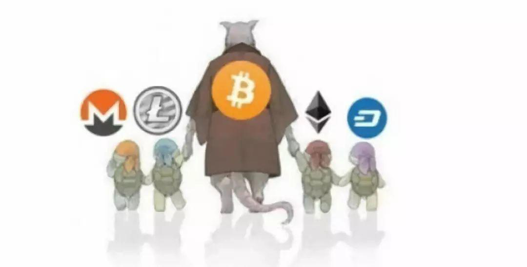 《忍者神龟》中的斯普林特老师与他的小龟们