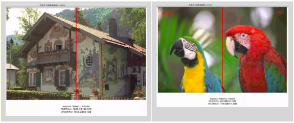 图注 : 基于深度学习的图像编码效果对比:PIKPIK vs JPEG